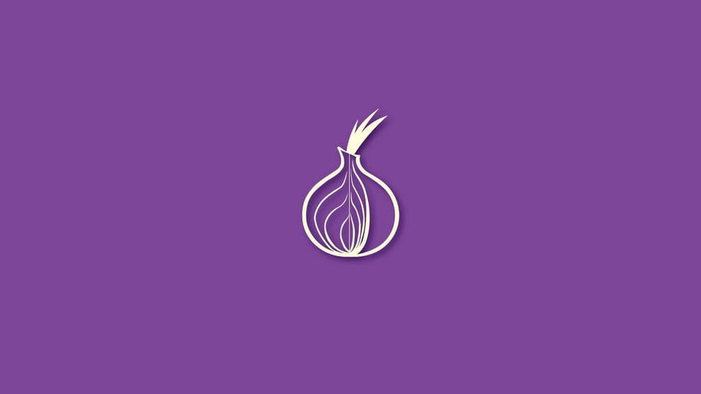 What Is Tor and Should We Use It?